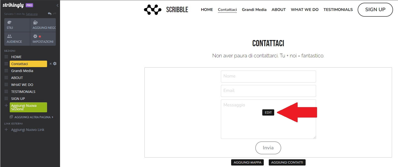 Modifica Sezione Contattaci, Strikingly Modifica Sezione Contattaci, Strikingly